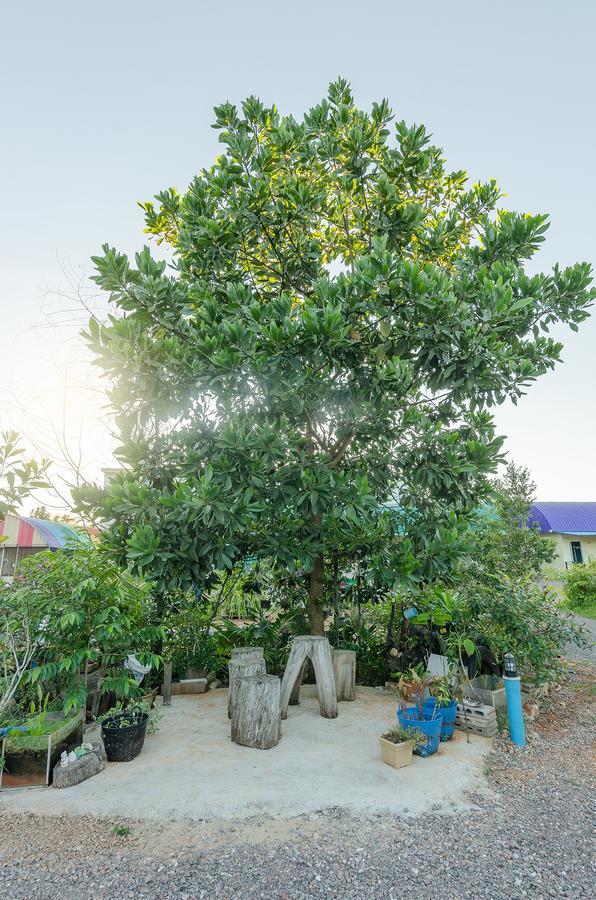 Ariya Garden Home Chumphon Exteriör bild